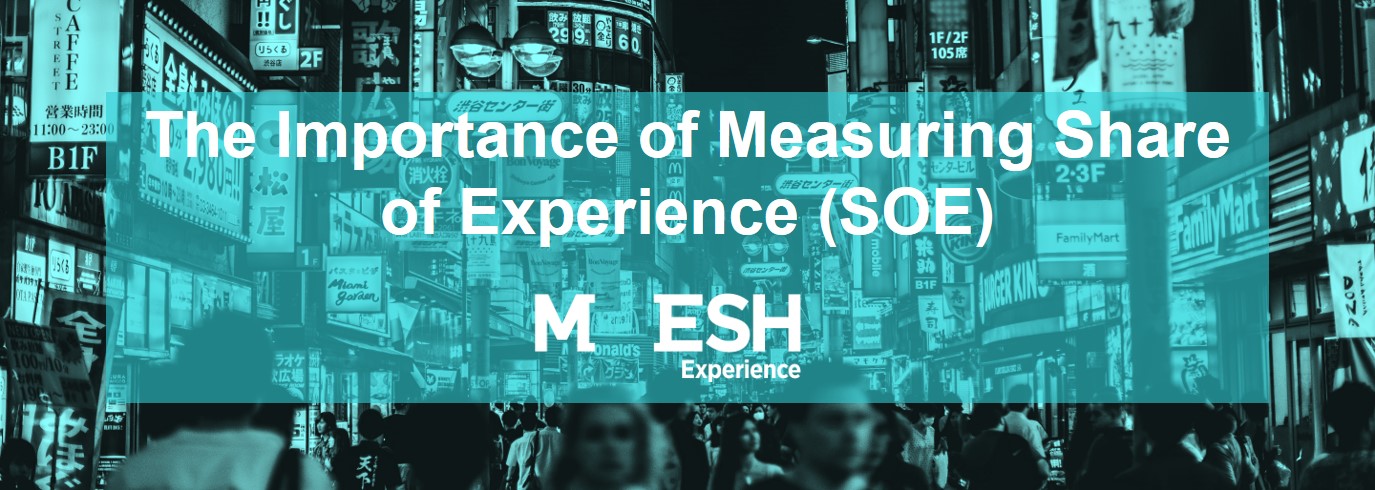 mesh-importance-of-measuring-soe-Nov 2022